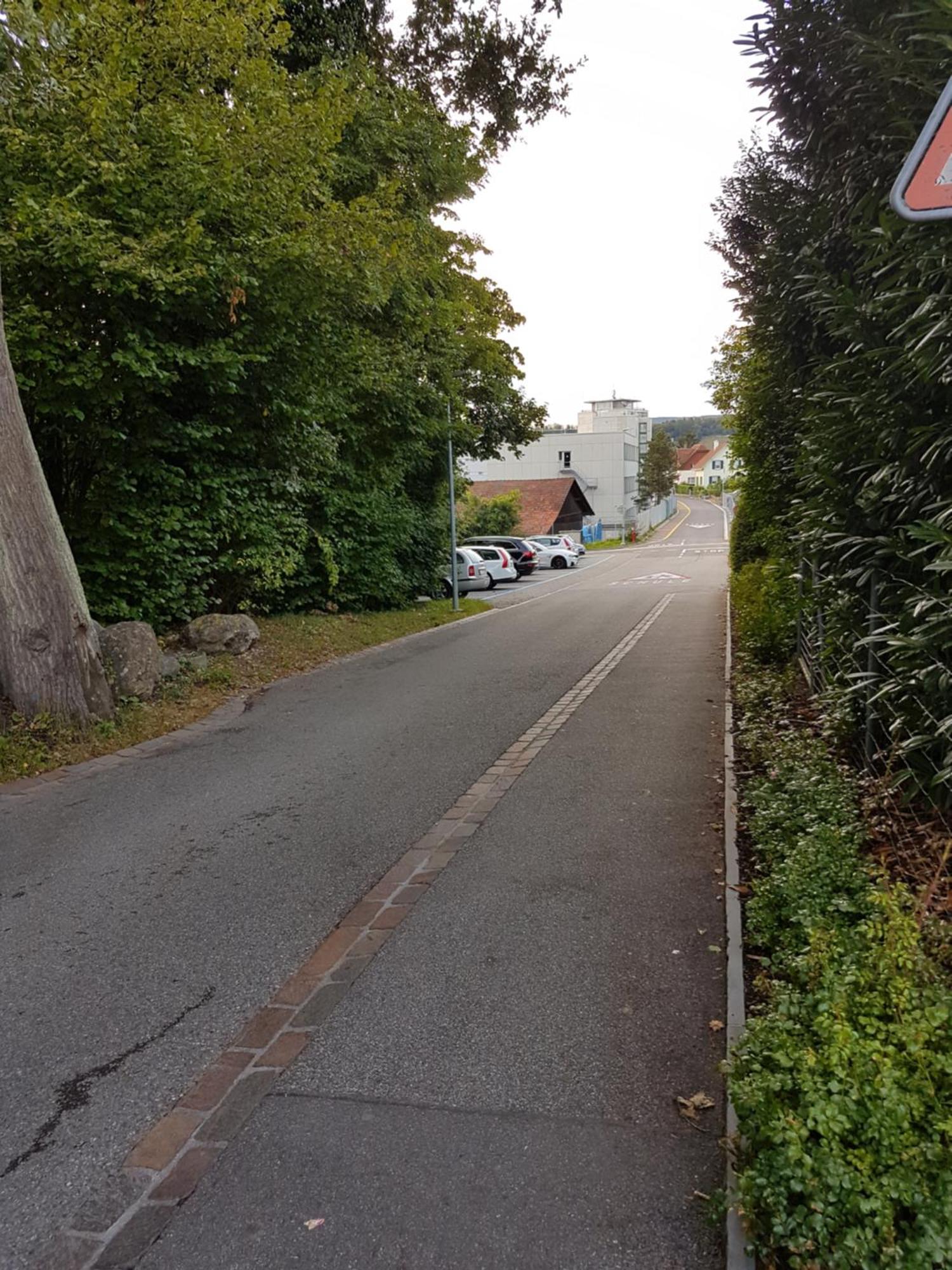 Zimmer In Penthouse-Wohnung Windisch Zewnętrze zdjęcie