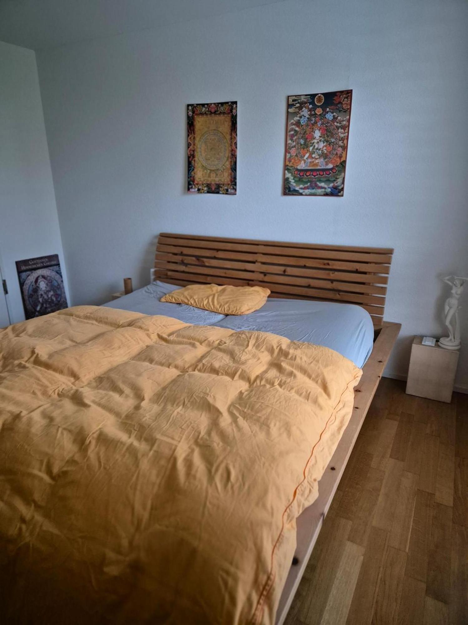 Zimmer In Penthouse-Wohnung Windisch Pokój zdjęcie