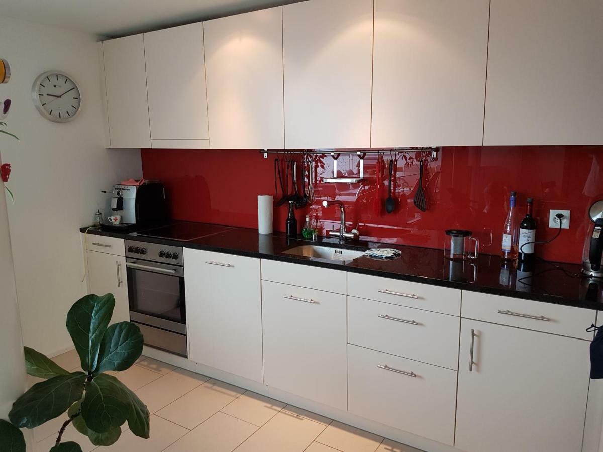 Zimmer In Penthouse-Wohnung Windisch Zewnętrze zdjęcie