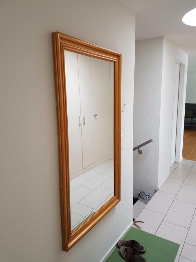 Zimmer In Penthouse-Wohnung Windisch Zewnętrze zdjęcie