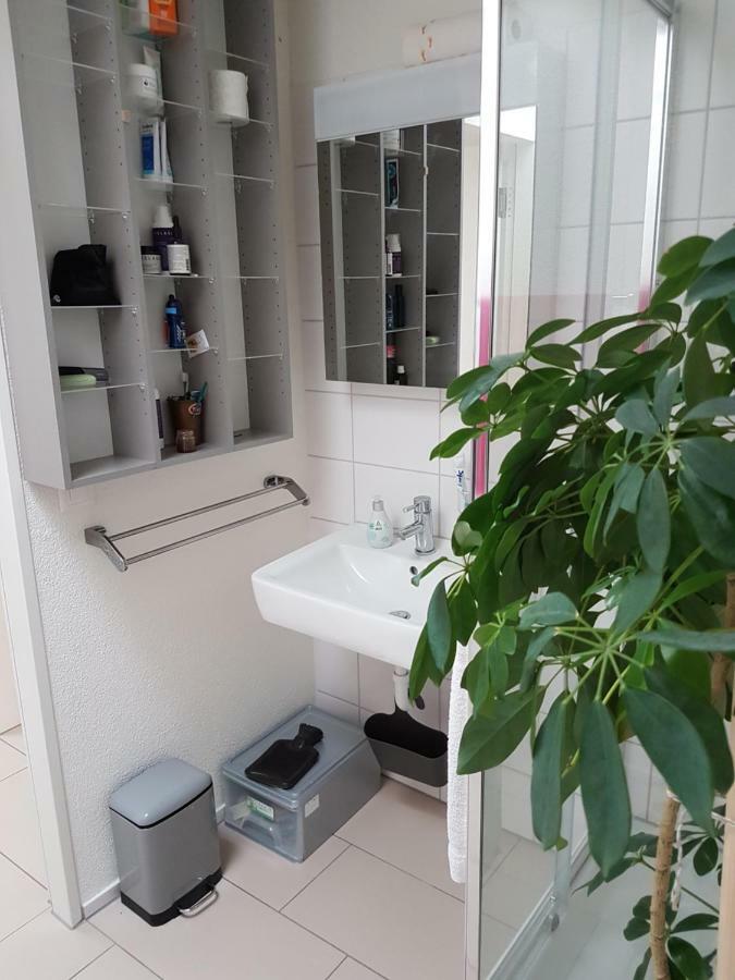 Zimmer In Penthouse-Wohnung Windisch Zewnętrze zdjęcie