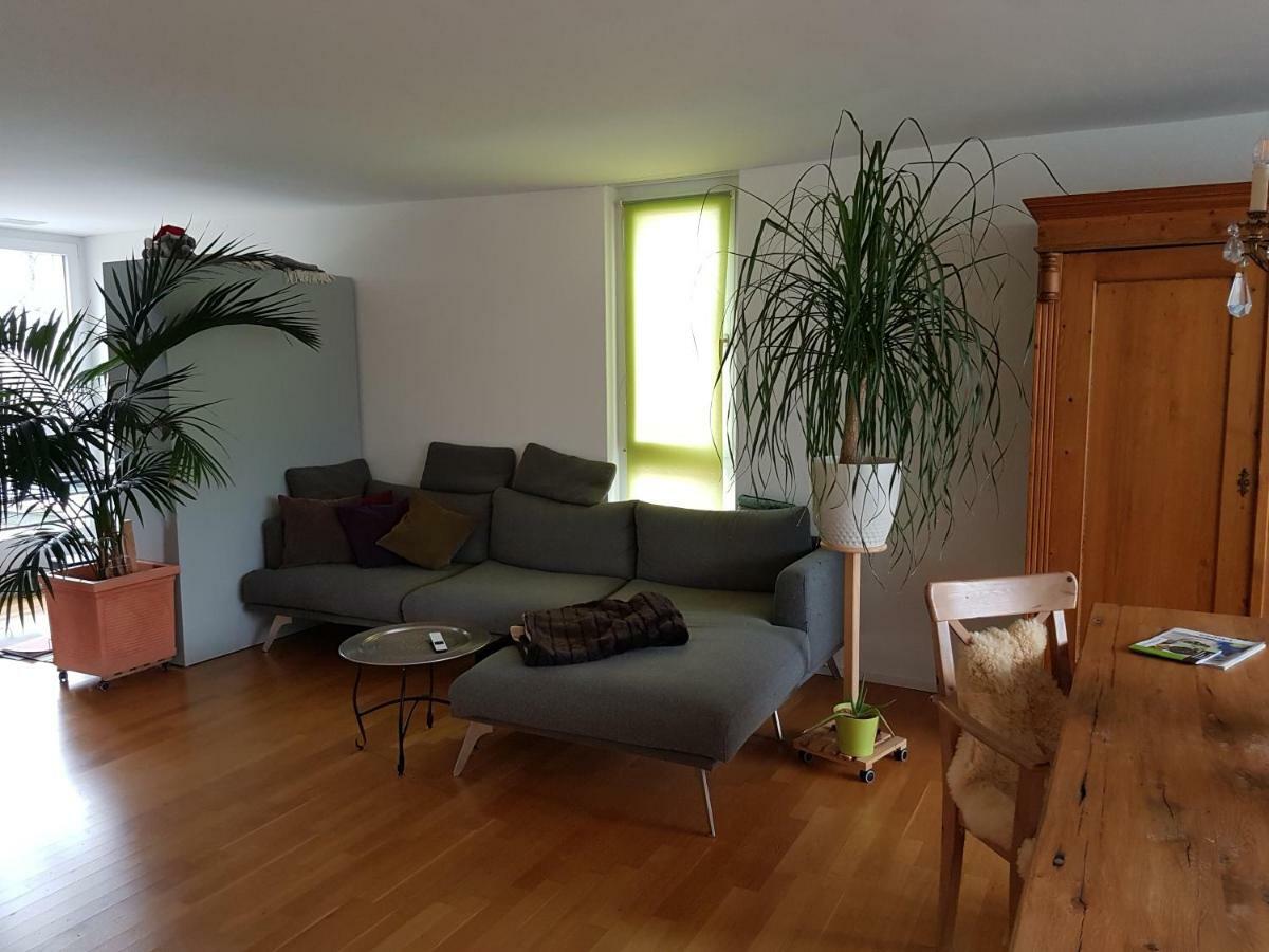 Zimmer In Penthouse-Wohnung Windisch Zewnętrze zdjęcie