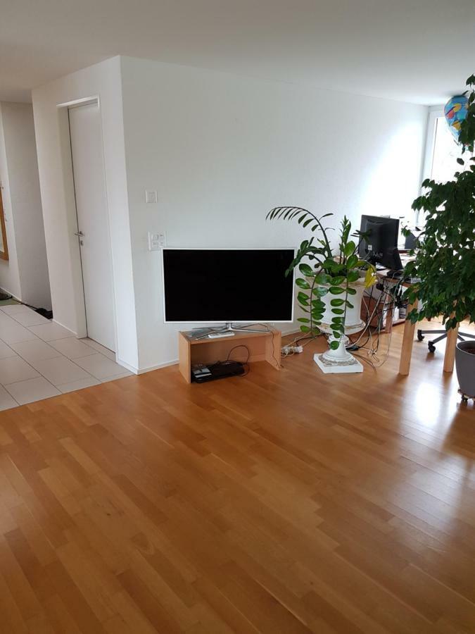 Zimmer In Penthouse-Wohnung Windisch Zewnętrze zdjęcie
