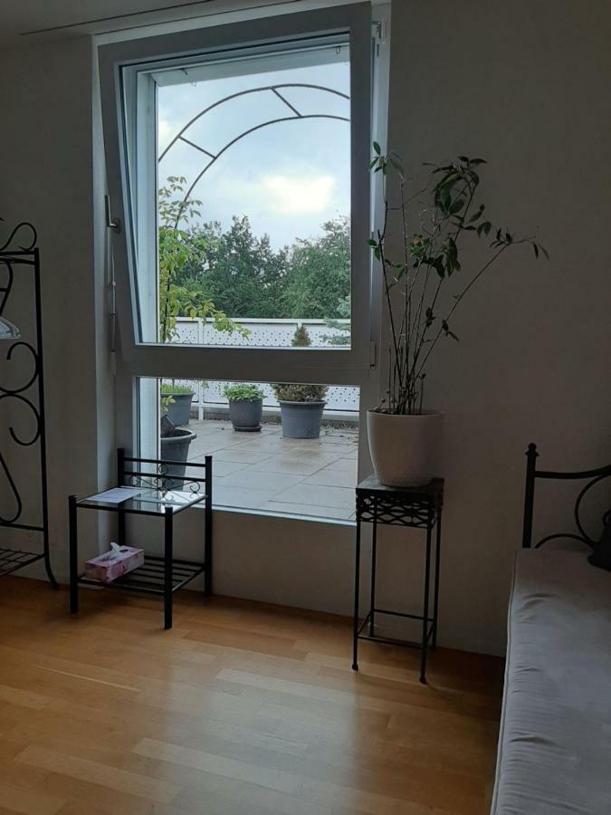 Zimmer In Penthouse-Wohnung Windisch Zewnętrze zdjęcie